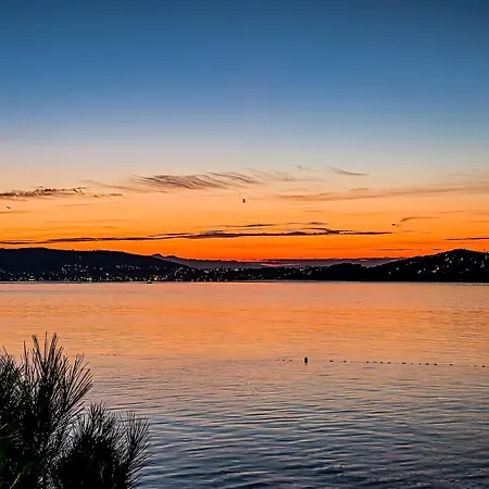 Markulin * تروغير